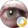 Rosa SR profile picture